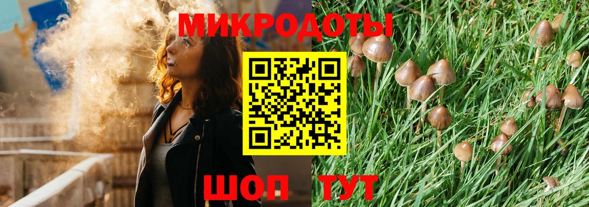 Спасск-Дальний  купить закладку  Вход с VPN  Псилоцибиновые грибы Magic Shrooms  Галлюциногенные грибы GOLDEN TEACHER 