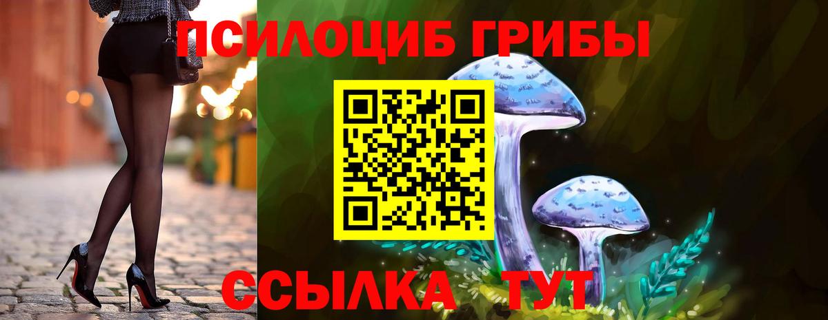 Галлюциногенные грибы Cubensis Спасск-Дальний